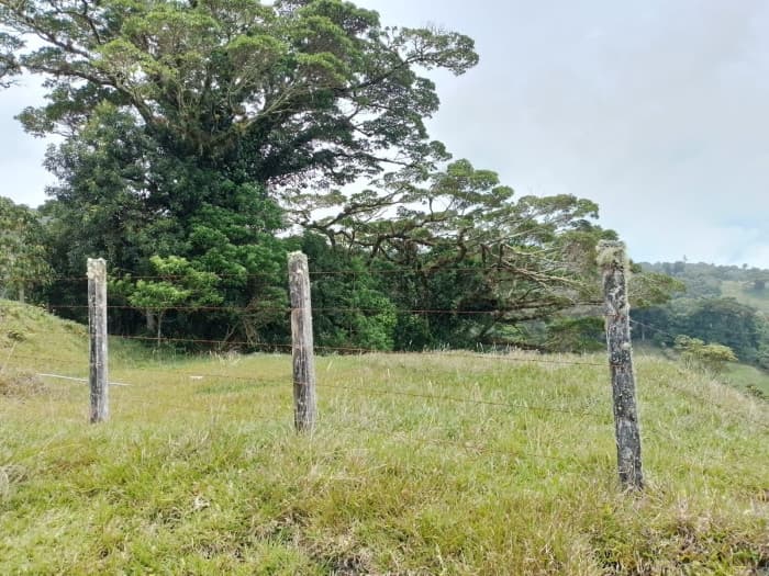 Se vende finca en Varablanca, Heredia - foto 2