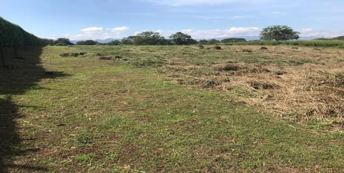 En Venta terreno en EL Coyol de Alajuela de 7.089 m2. - foto 2