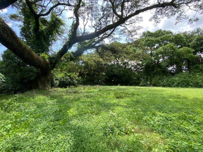 Venta de Lote en La Guácima Arriba Alajuela Costa Rica - foto 4