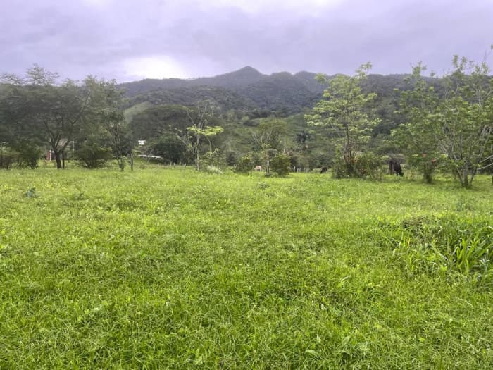 En Venta terreno en Rio Naranjo de Bijagua Guanacaste - foto 3