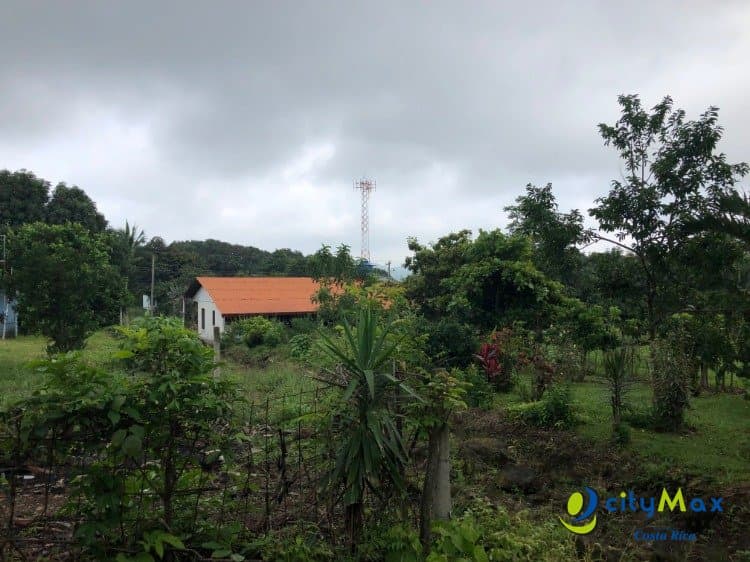Se vende ampio, plano y hermoso terreno en Atenas  - foto 3