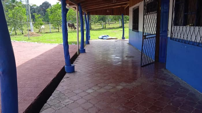 EN VENTA FINCA CON 2 CASAS EN SIQUIRRES LIMÓN - foto 3