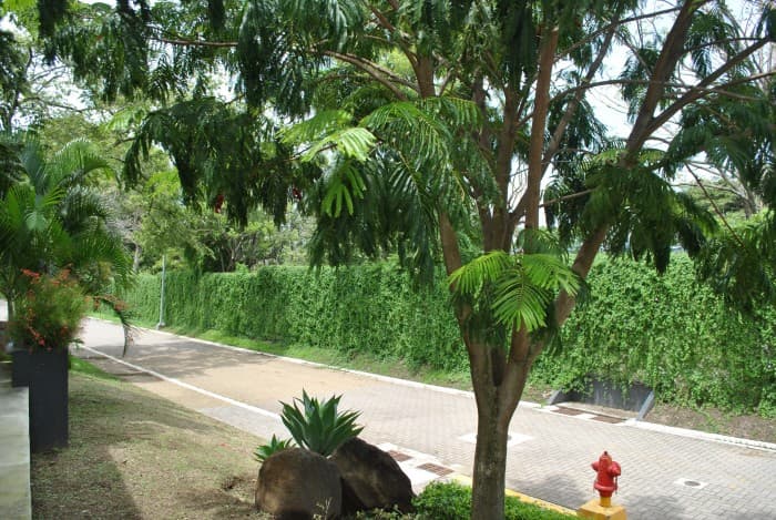 Terreno Exclusivo en Venta en La Guácima, Alajuela. - foto 3