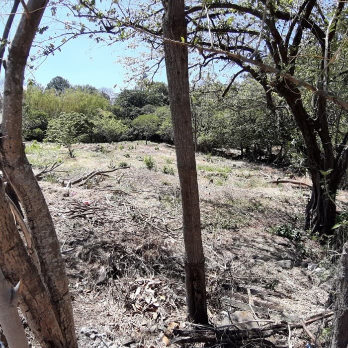Se vende terreno en La Garita Alajuela zona residencial - foto 3