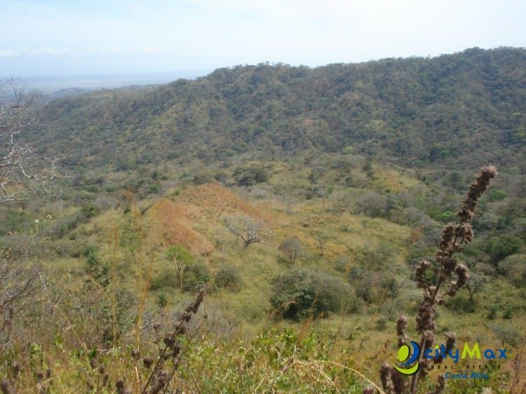 Venta de Amplia Finca  en Sardinal Guanacaste  - foto 3