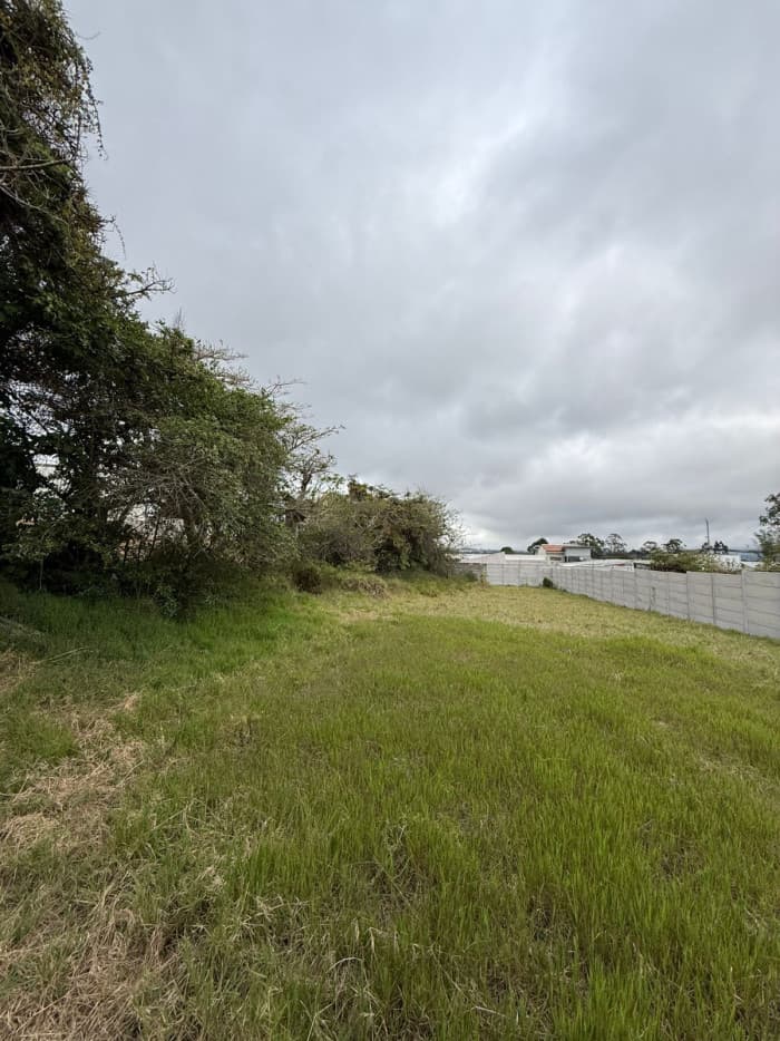 En Venta Lote Residencial Pinares Agua Caliente Cartago - foto 3