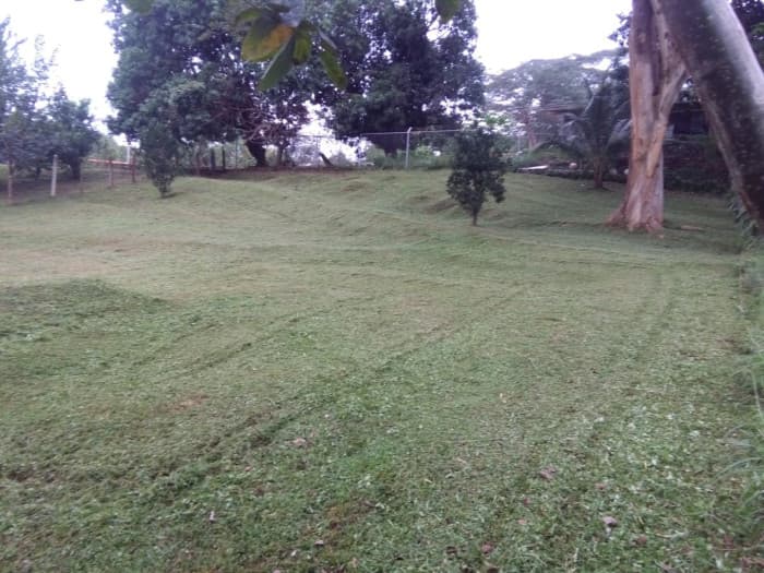 OFERTA Venta Terreno para construir Santa Rita Orotina  - foto 4