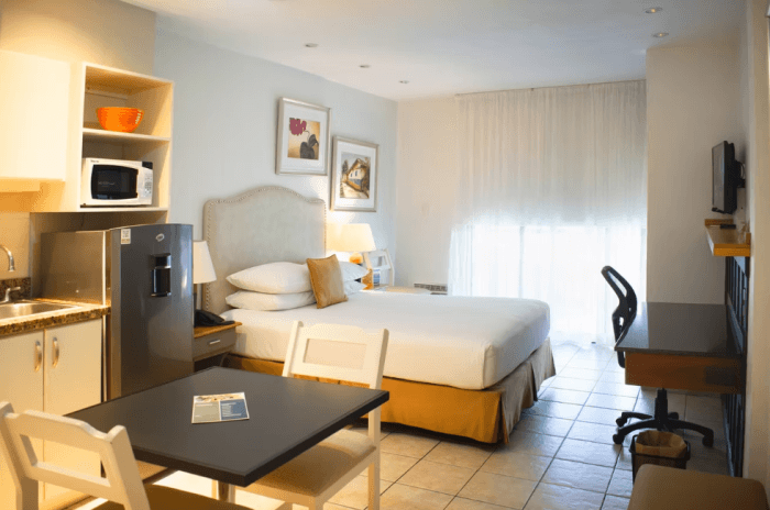 Apartamento Estudio en renta en La Sabana Norte, SJ. - foto 4