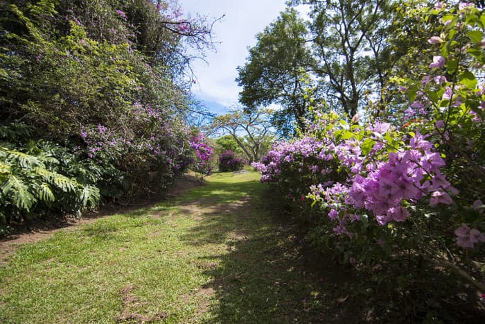 Terreno en Venta Condominio en Piedades de Santa Ana  - foto 3
