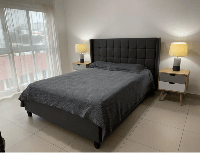 Hermoso Apartamento en renta en La Sabana Norte, SJ. - foto 3