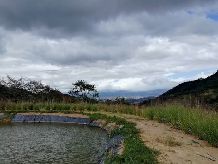 Finca en Venta en Santa Ana Ideal para Desarrollo - foto 2