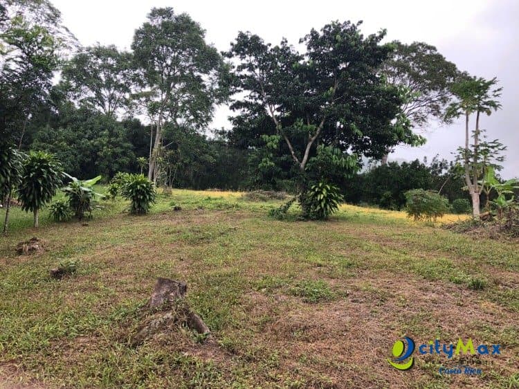 Se vende ampio, plano y hermoso terreno en Atenas  - foto 4