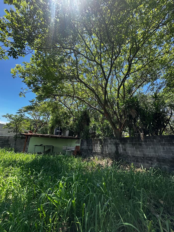 Lote/Terreno en Venta en Alajuela San antonio el roble  - foto 2