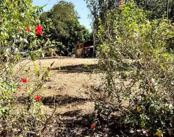 En Venta Lote en Condominio en Playa Tivives Esparza  - foto 4