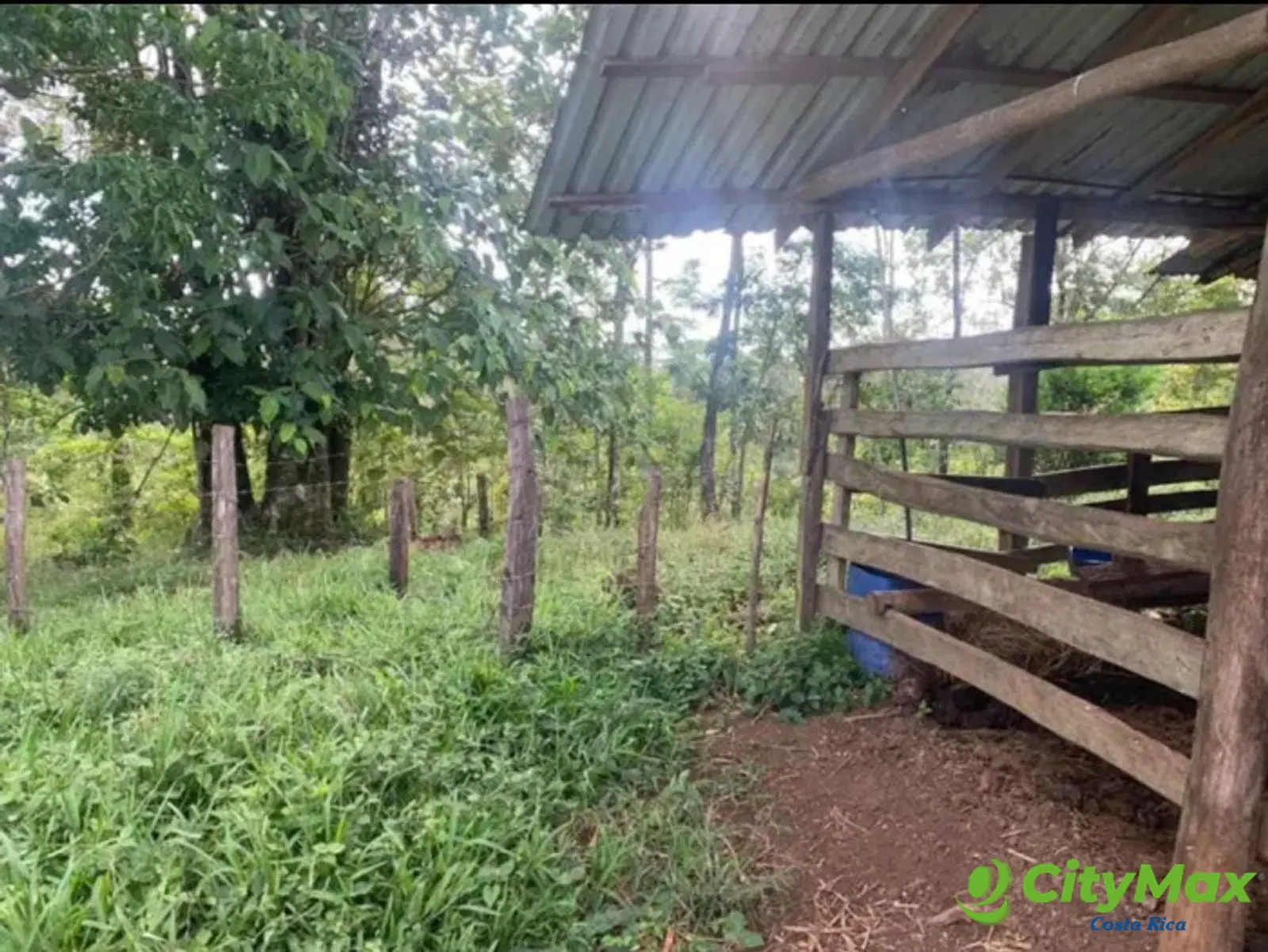 En venta finca ganadera Ciudad Quesada, San Carlos - foto 1