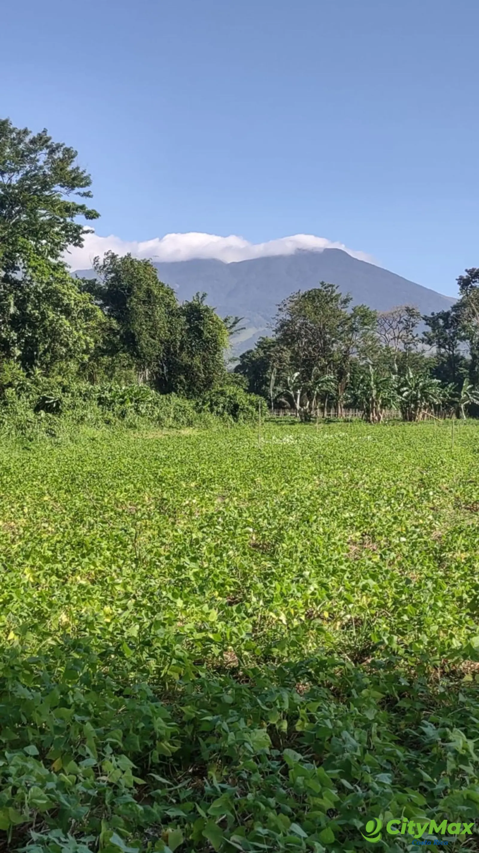 Lotes en venta en Proyecto en Llanos del Miravalles - foto 1