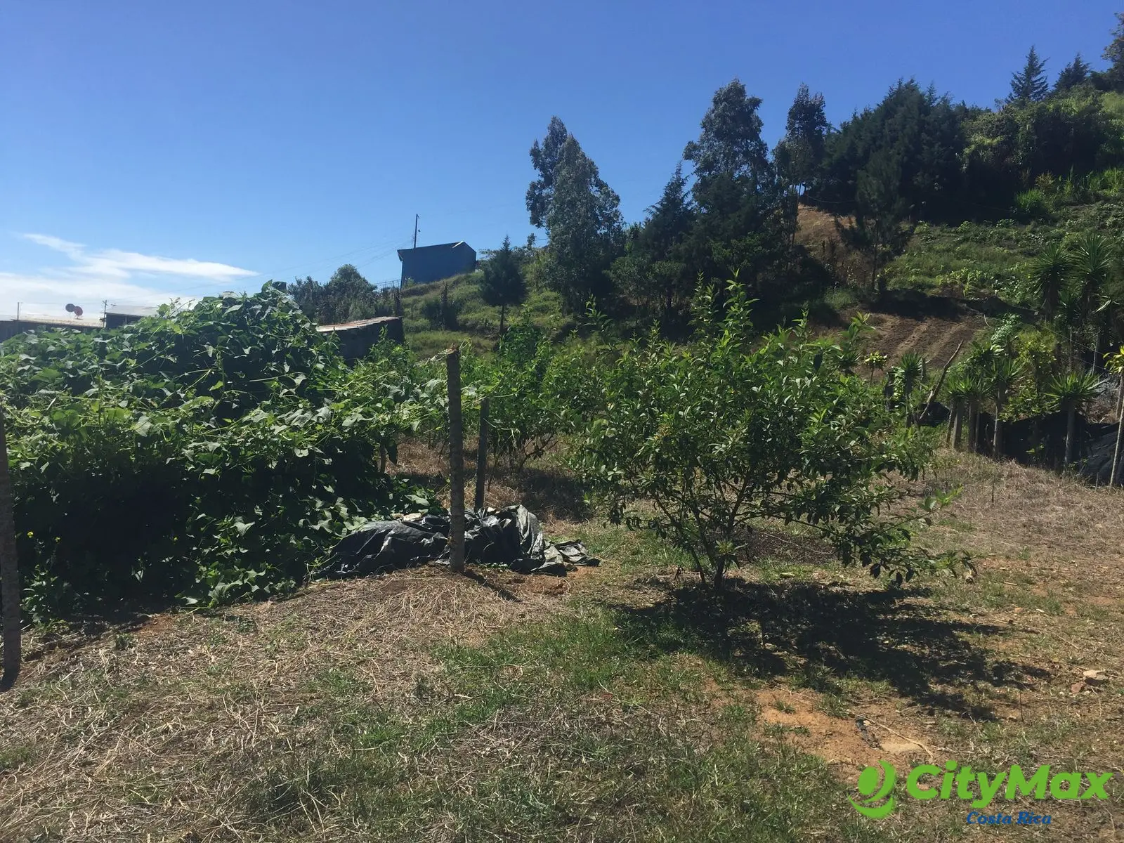 Terreno de 4,000 m² en Tobosi, Cartago Ideal Inversión - foto 1