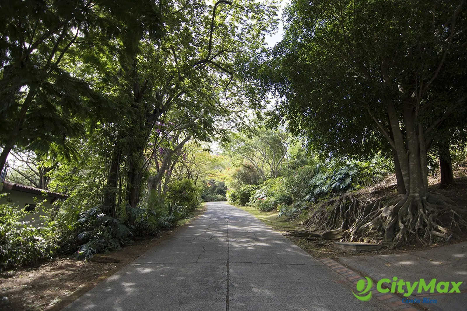 Terreno en Venta Condominio en Piedades de Santa Ana  - foto 1