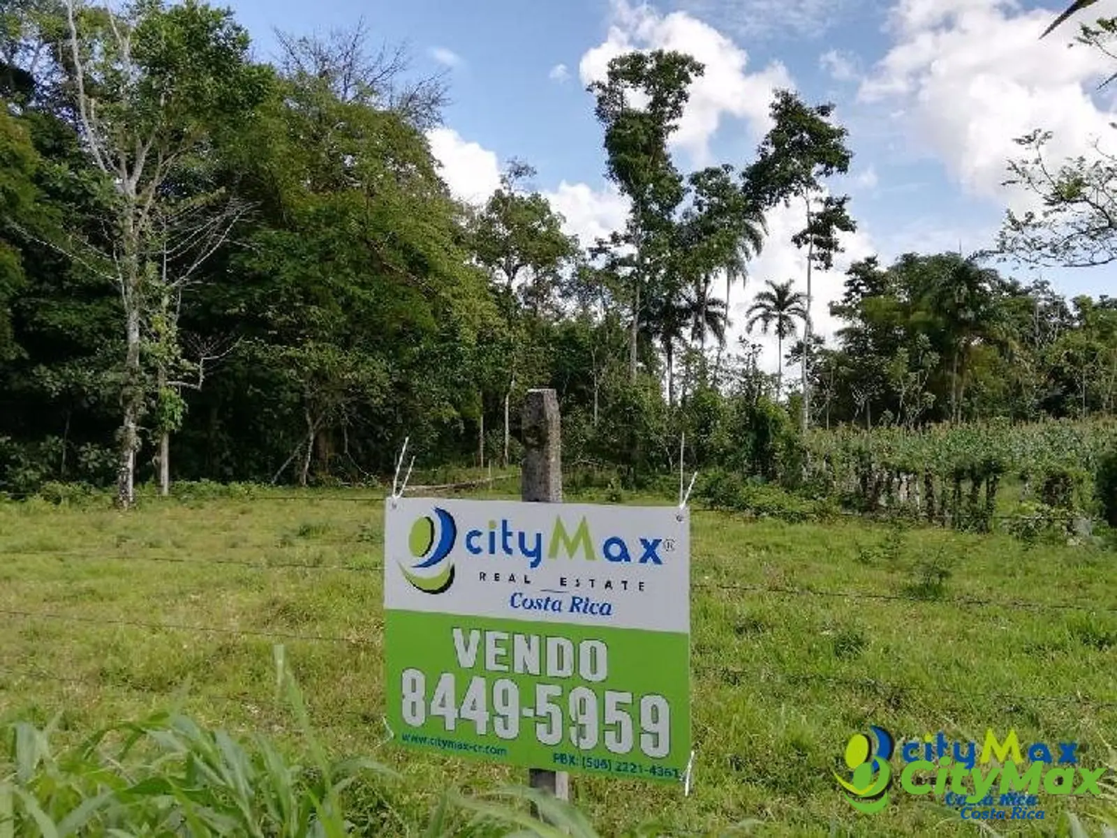 Amplio Terreno en Jiménez, Guácimo Ideal Inversión - foto 1