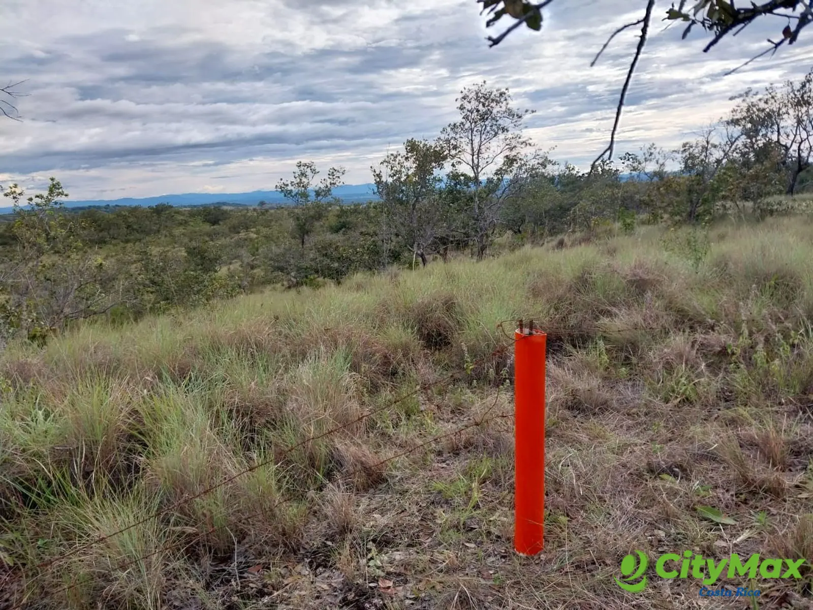 Lotes en venta, Liberia, Curubandé. - foto 1