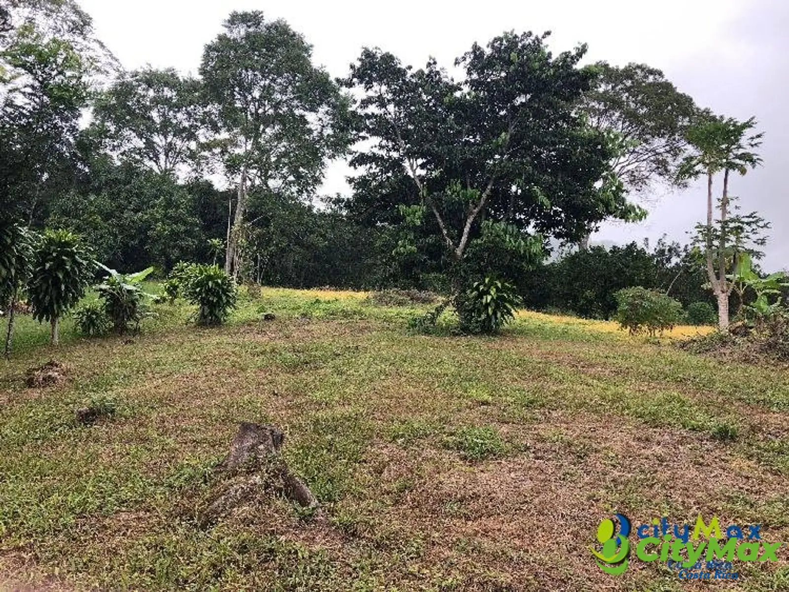 Se vende ampio, plano y hermoso terreno en Atenas  - foto 1