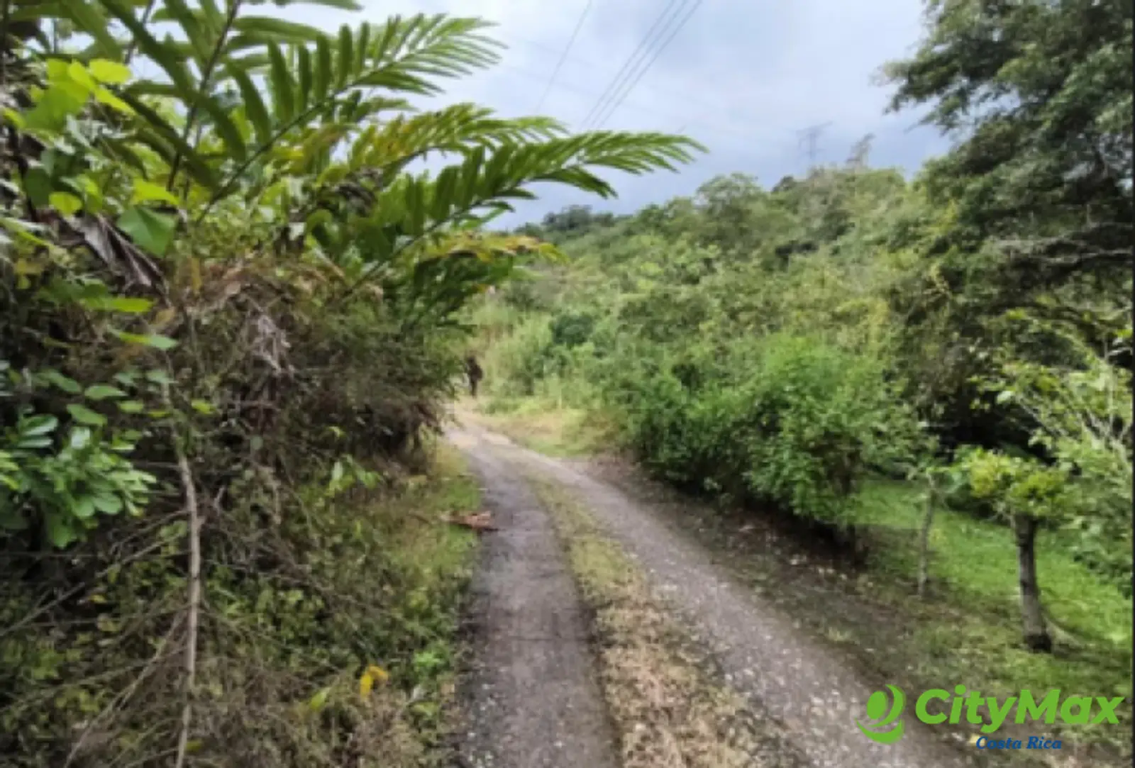 Finca en venta de 2,87 Hectareas en Tucurrique, Cartago - foto 1