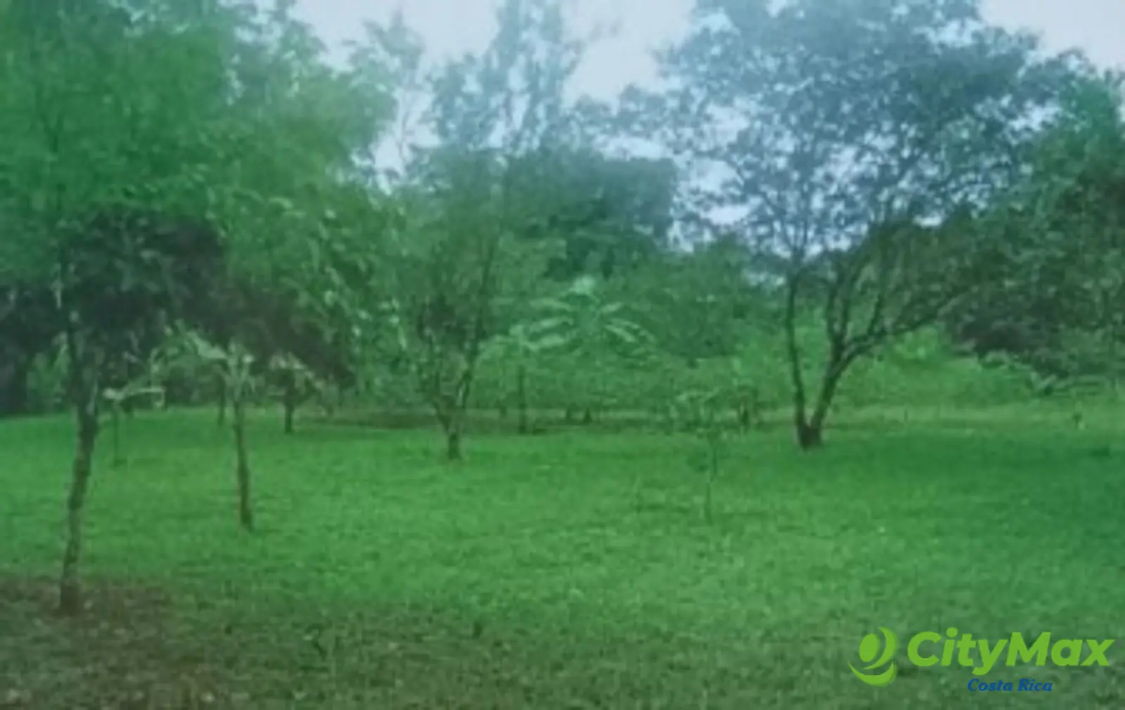 Se vende finca en Sarapiqui - foto 1