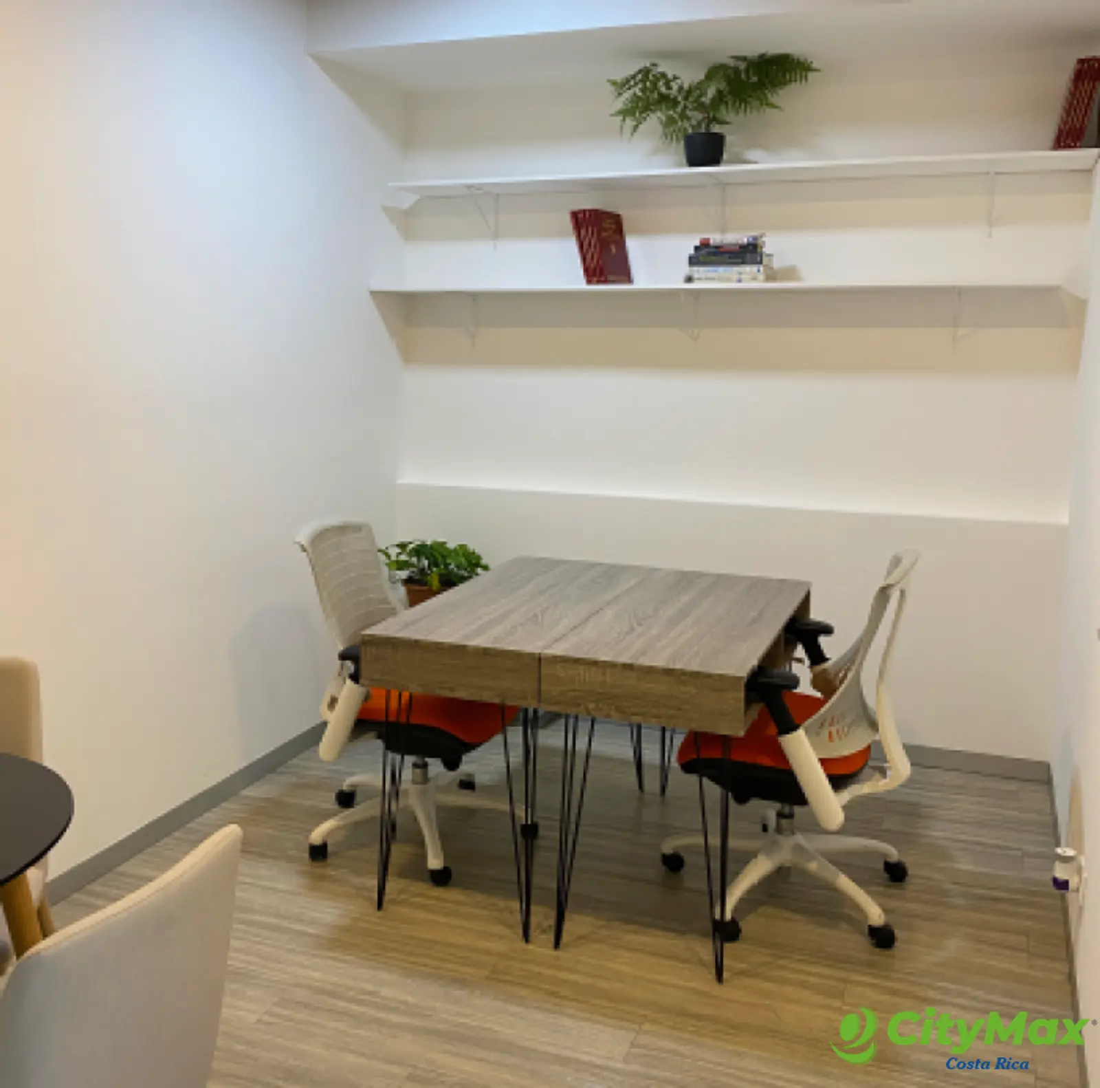 Moderna Oficina en Renta en Santa Ana Centro - foto 1
