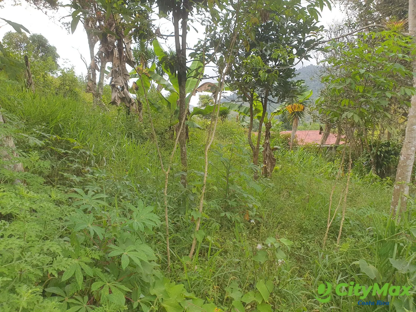 En venta terreno en Santa Rosa de Tayutic en Turrialba - foto 1