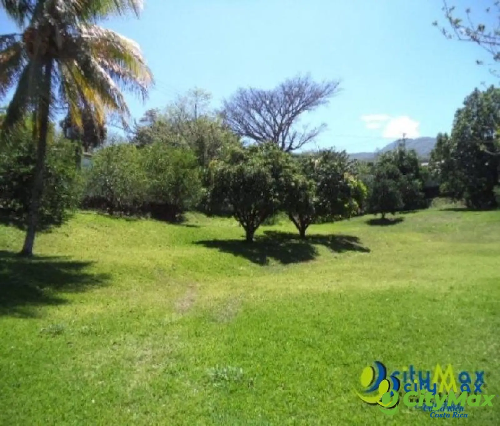 Terreno en Venta comercial u residencial  Brasil Mora - foto 1