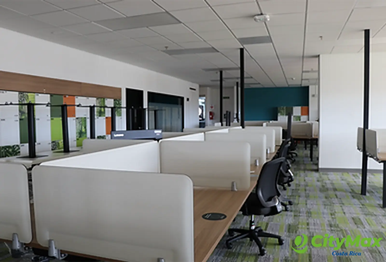 Oficina comercial en Renta en Calle Blancos San José - foto 1