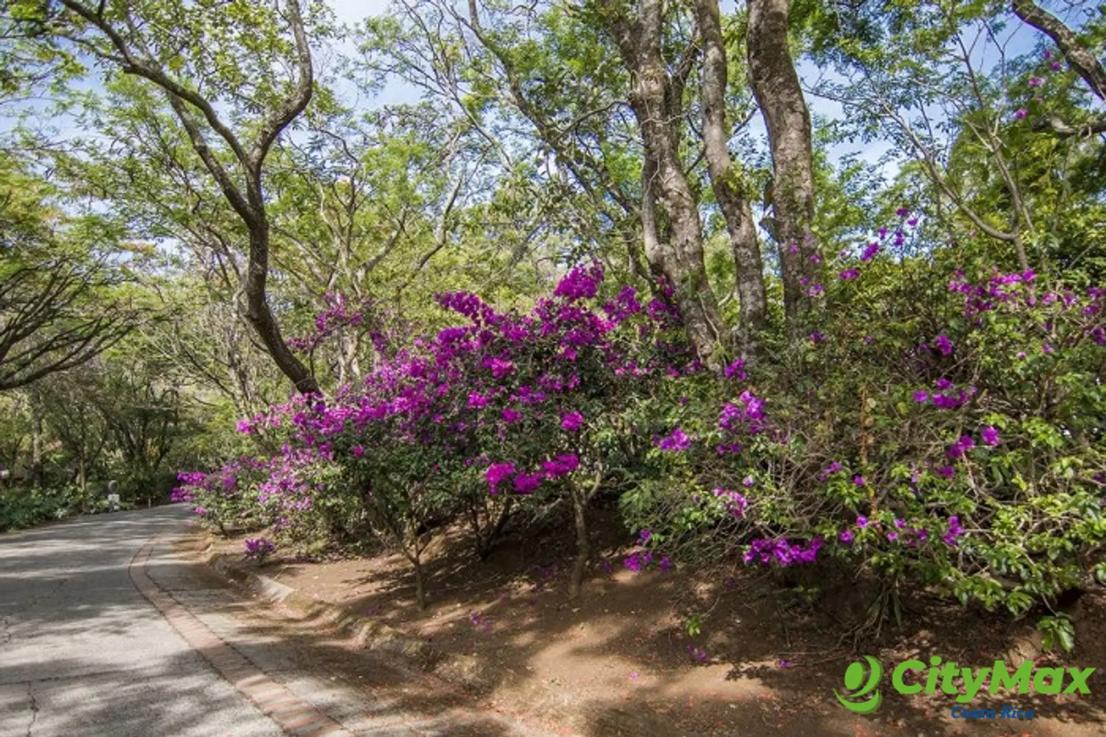 En venta terreno residencial en Piedades de Santa Ana - foto 1