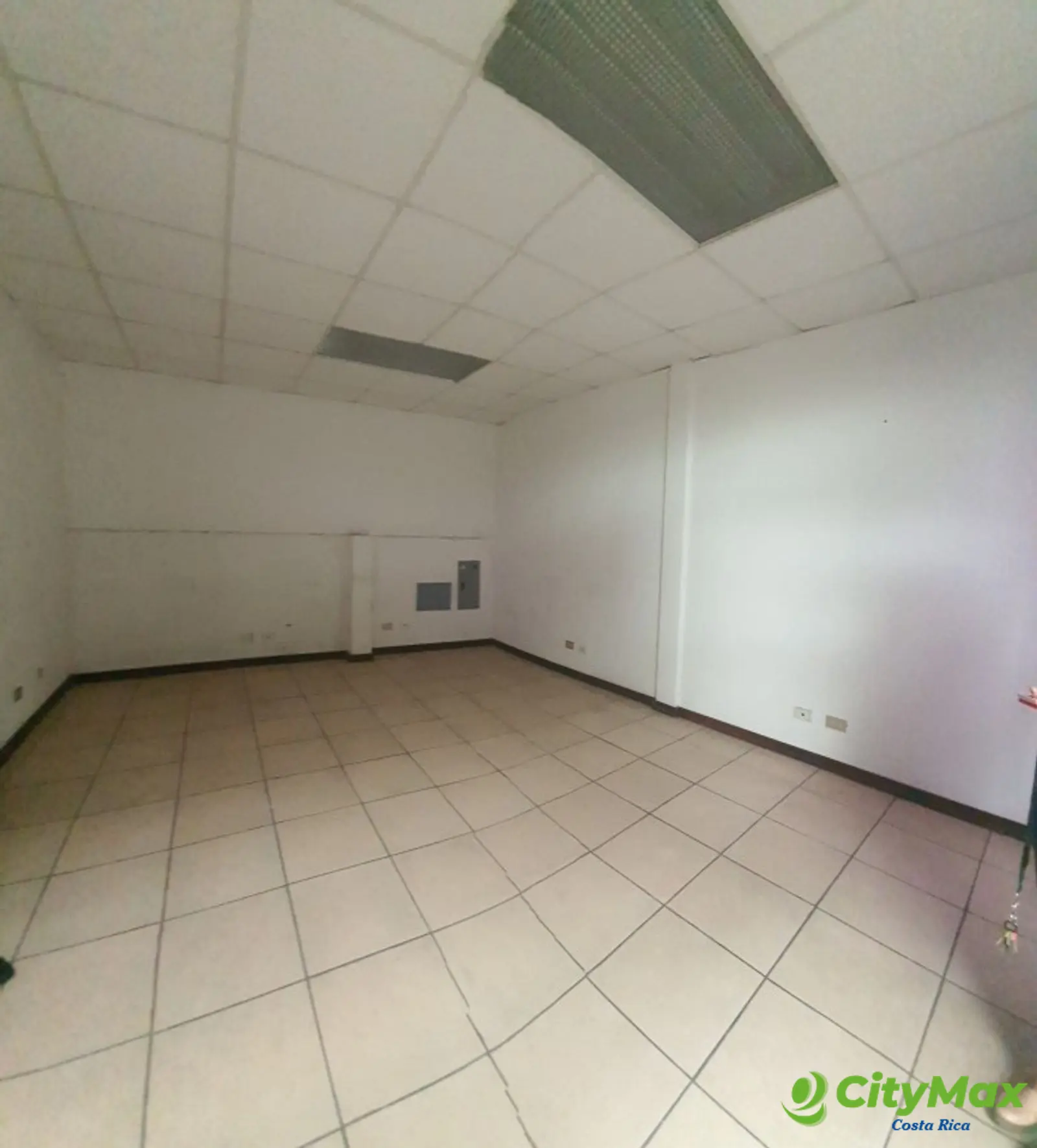 Local Comercial en Renta Plaza Sabana Sur  San Jose - foto 1