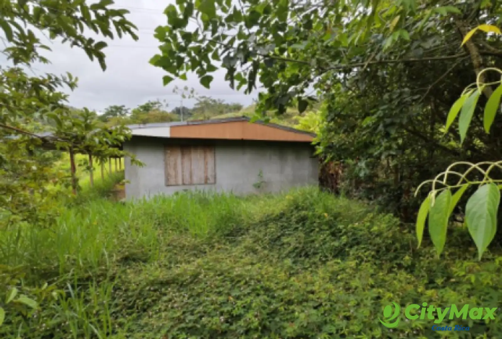Finca en venta de 2,87 Hectareas en Tucurrique, Cartago - foto 6