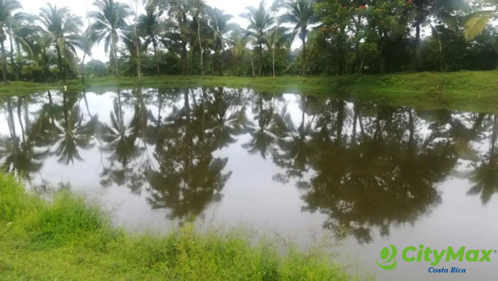 EN VENTA FINCA CON 2 CASAS EN SIQUIRRES LIMÓN - foto 10