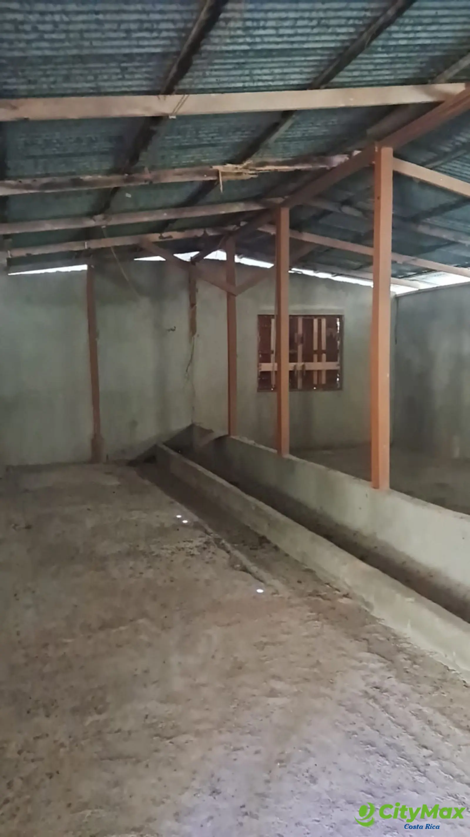 Finca en venta de 2,87 Hectareas en Tucurrique, Cartago - foto 25