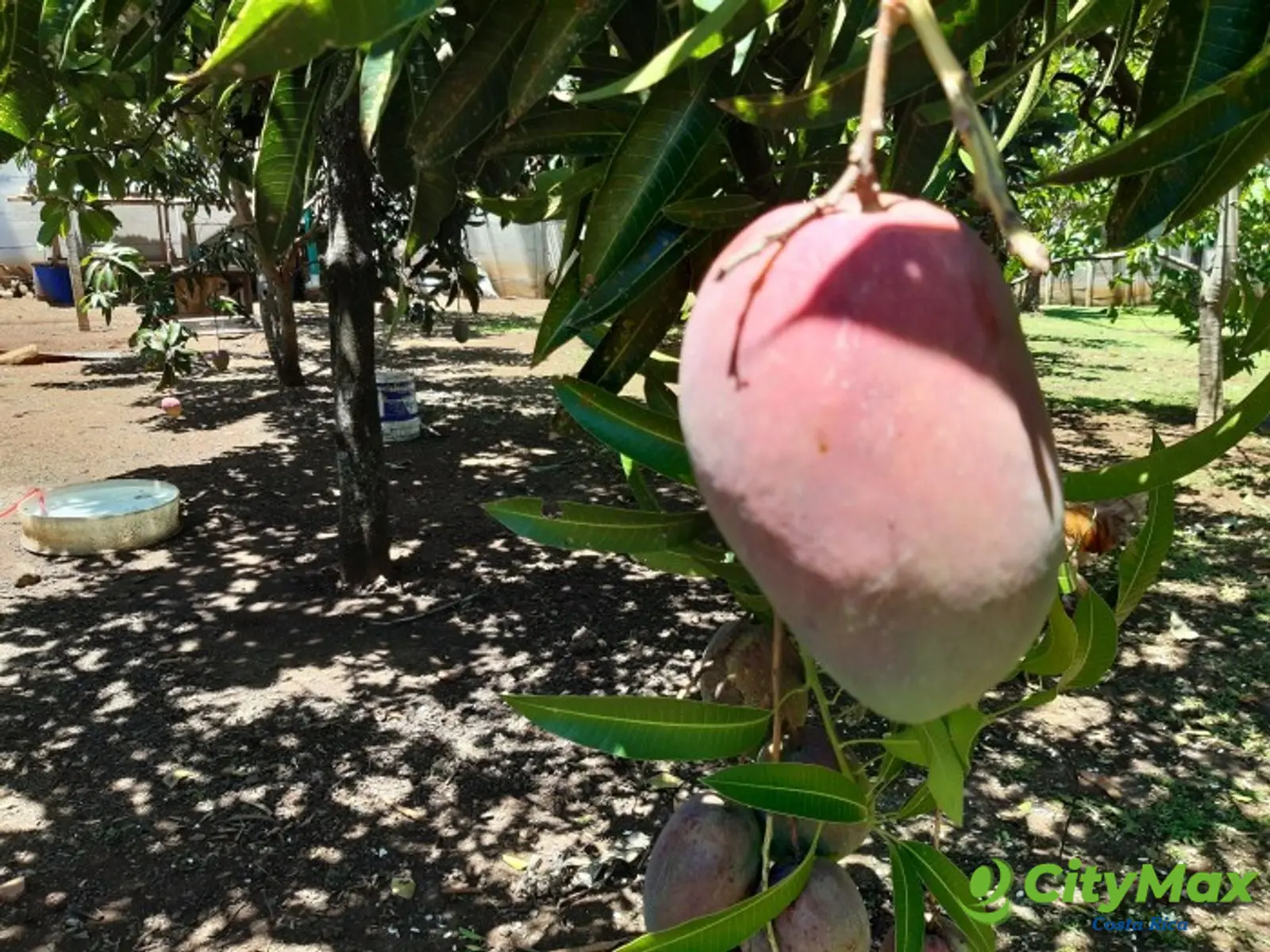 Exclusiva Quinta de Lujo Venta en La Garita, Alajuela. - foto 19