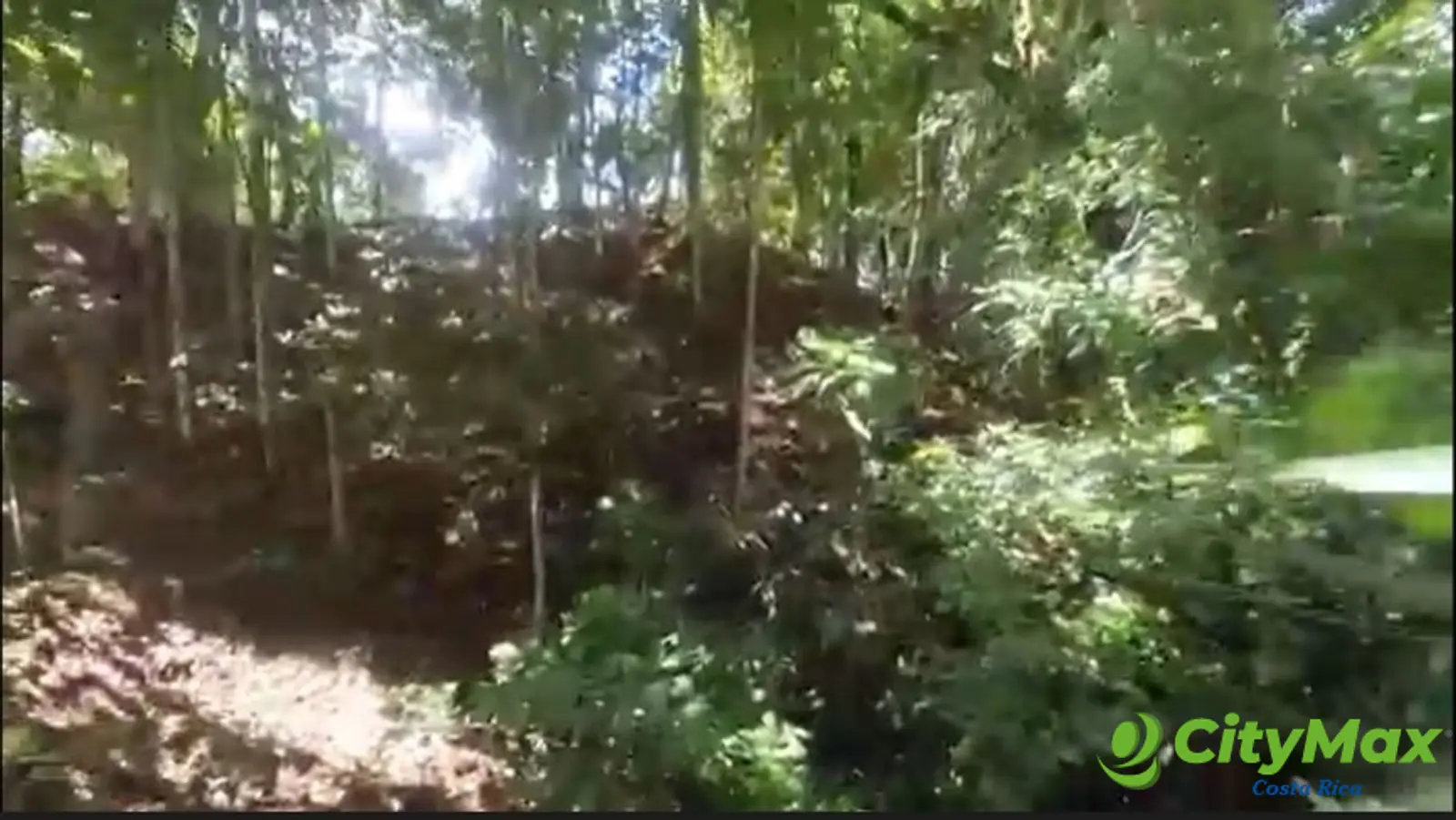 Terreno con Hotel en Perez Zeledón cerca Quebrada Honda - foto 17