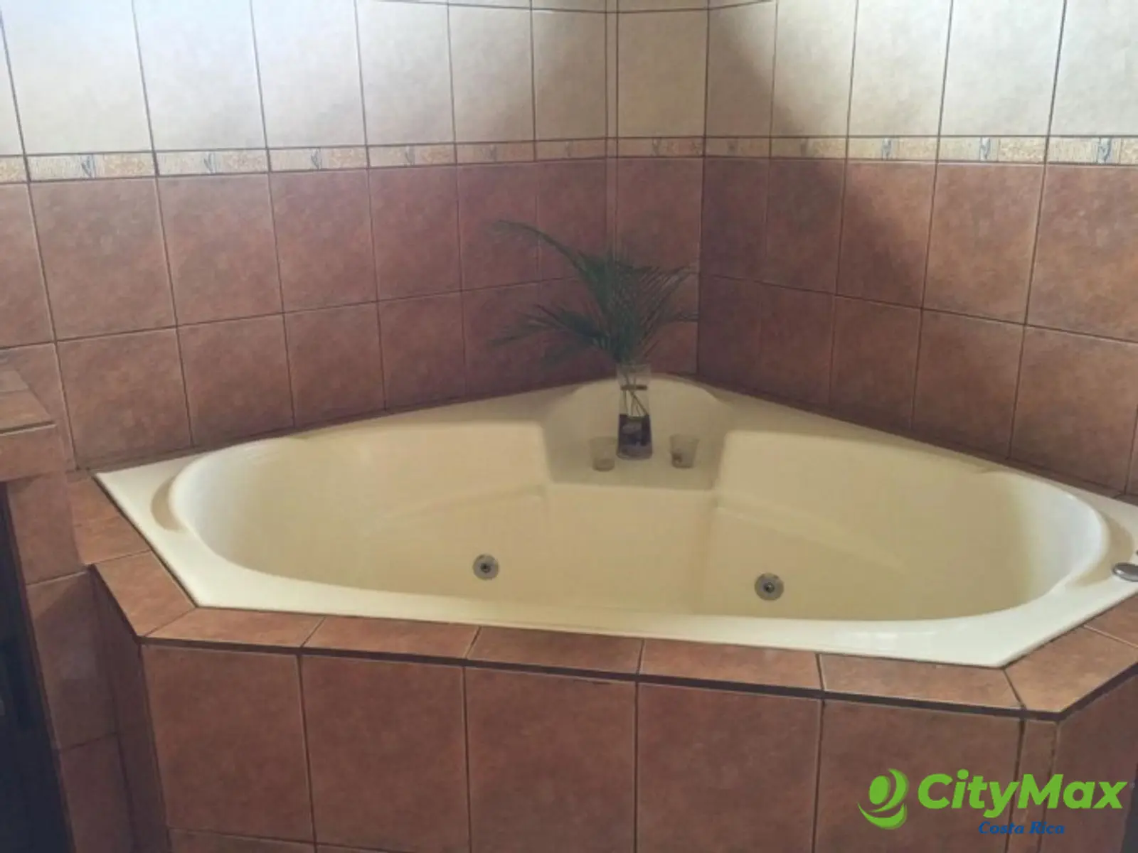 Se Vende casa de 760m2 de terreno ubicada en Esparza. - foto 8