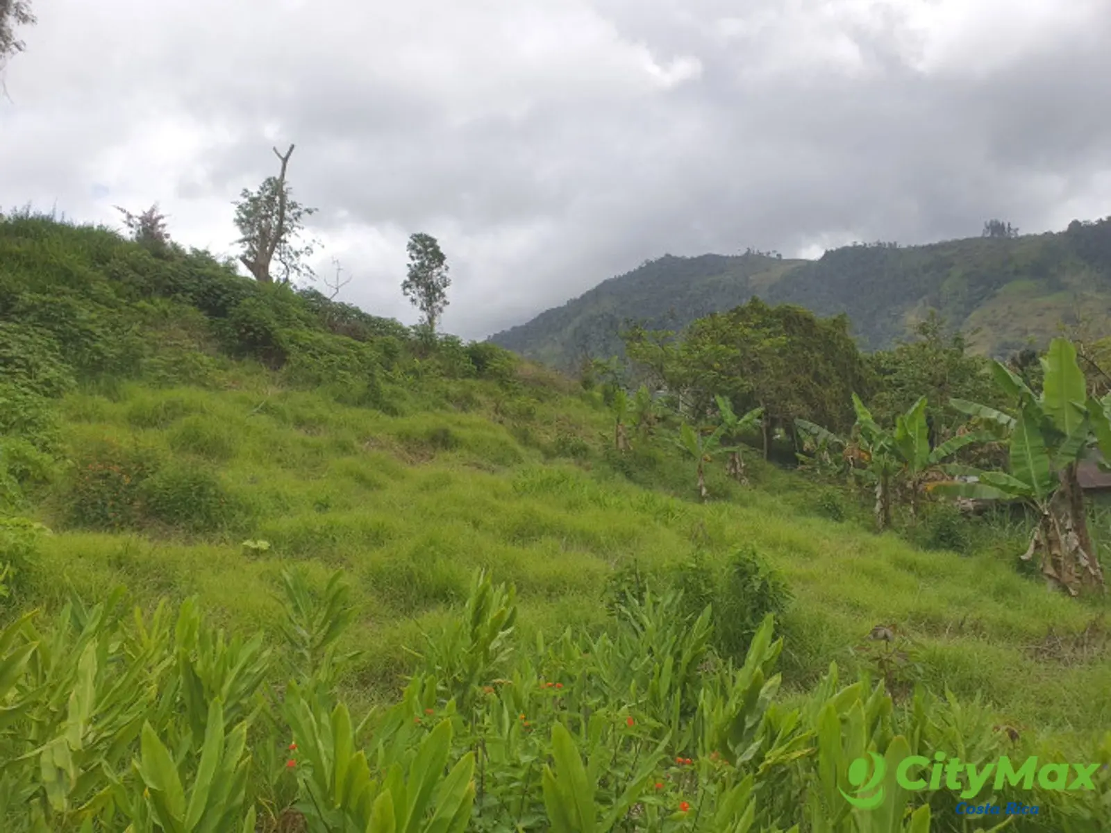 En venta terreno en Santa Rosa de Tayutic en Turrialba - foto 3