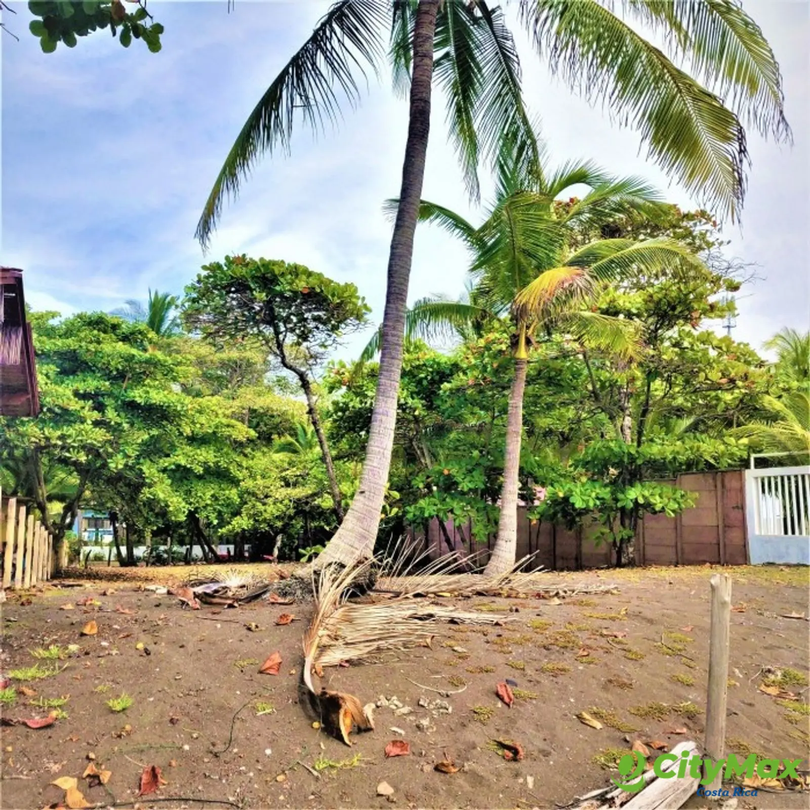 Lote Exclusivo en venta en Playa Tivives, Puntarenas - foto 7