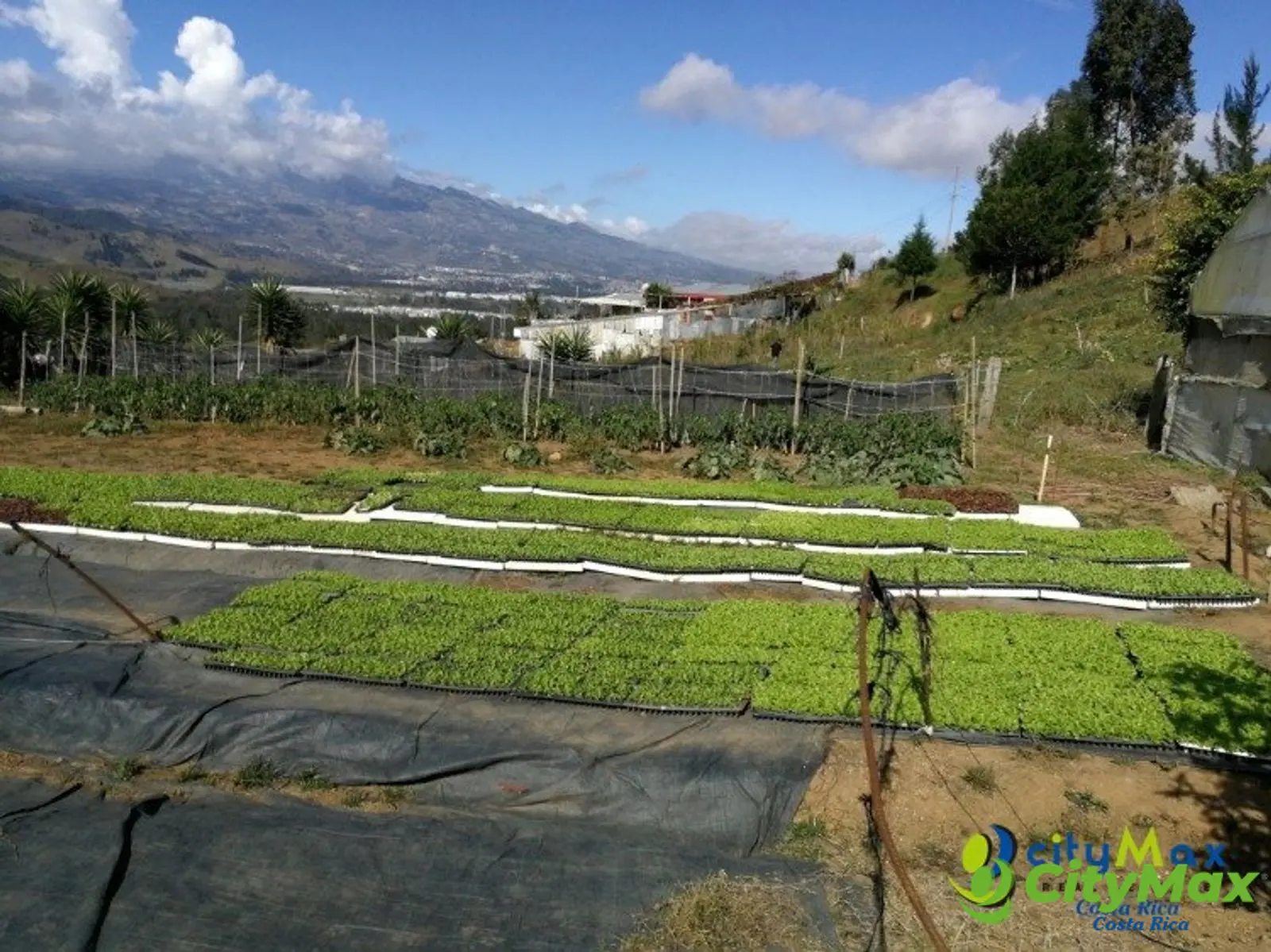 Se vende terreno de uso mixto 5071 m2 Tobosi de Cartago - foto 4