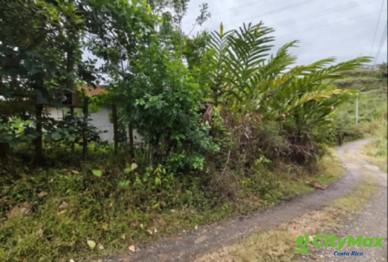 Finca en venta de 2,87 Hectareas en Tucurrique, Cartago - foto 4