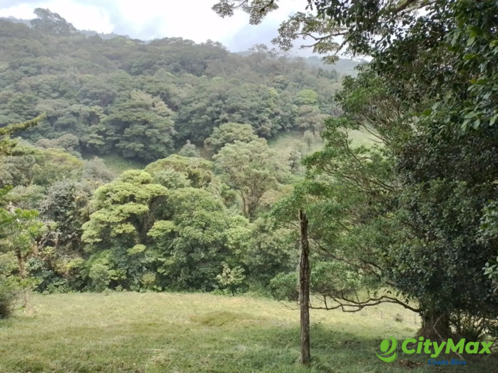 Se vende finca en Varablanca, Heredia - foto 13