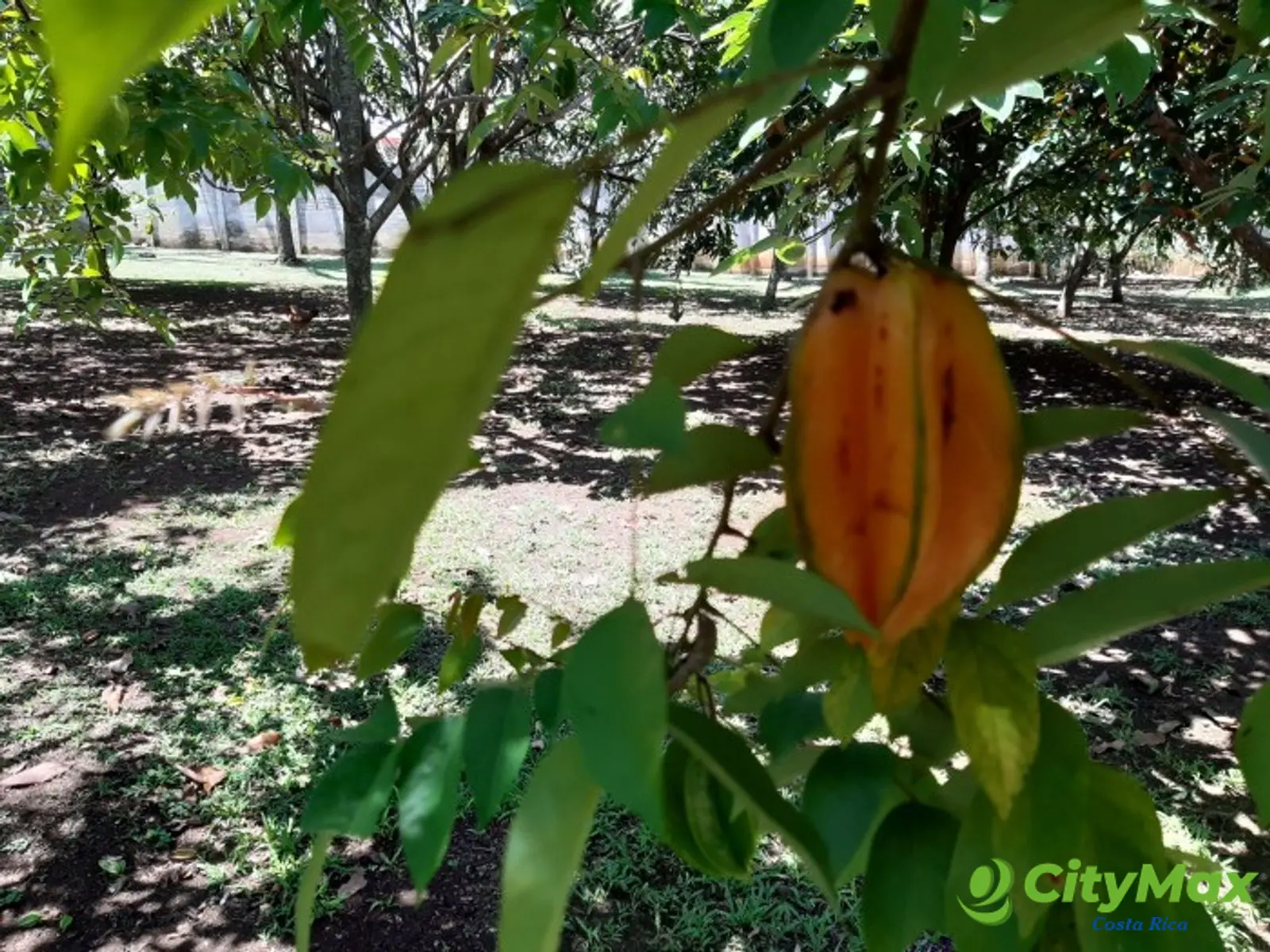 Exclusiva Quinta de Lujo Venta en La Garita, Alajuela. - foto 22