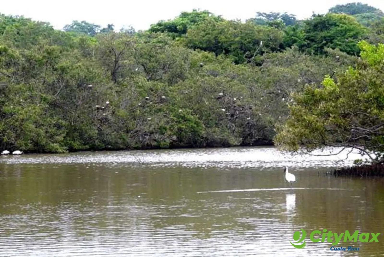 Terreno Frente al Mar en Playa Bajamar, Puntarenas. - foto 3