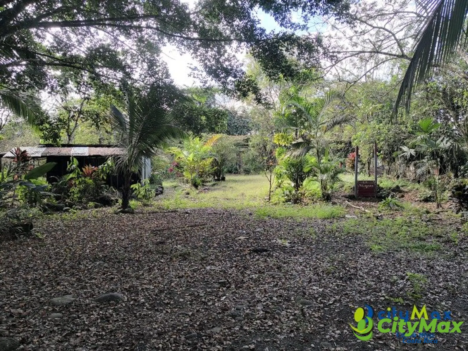 Finca Exclusiva en Venta Toro Amarillo de Guápiles - foto 10