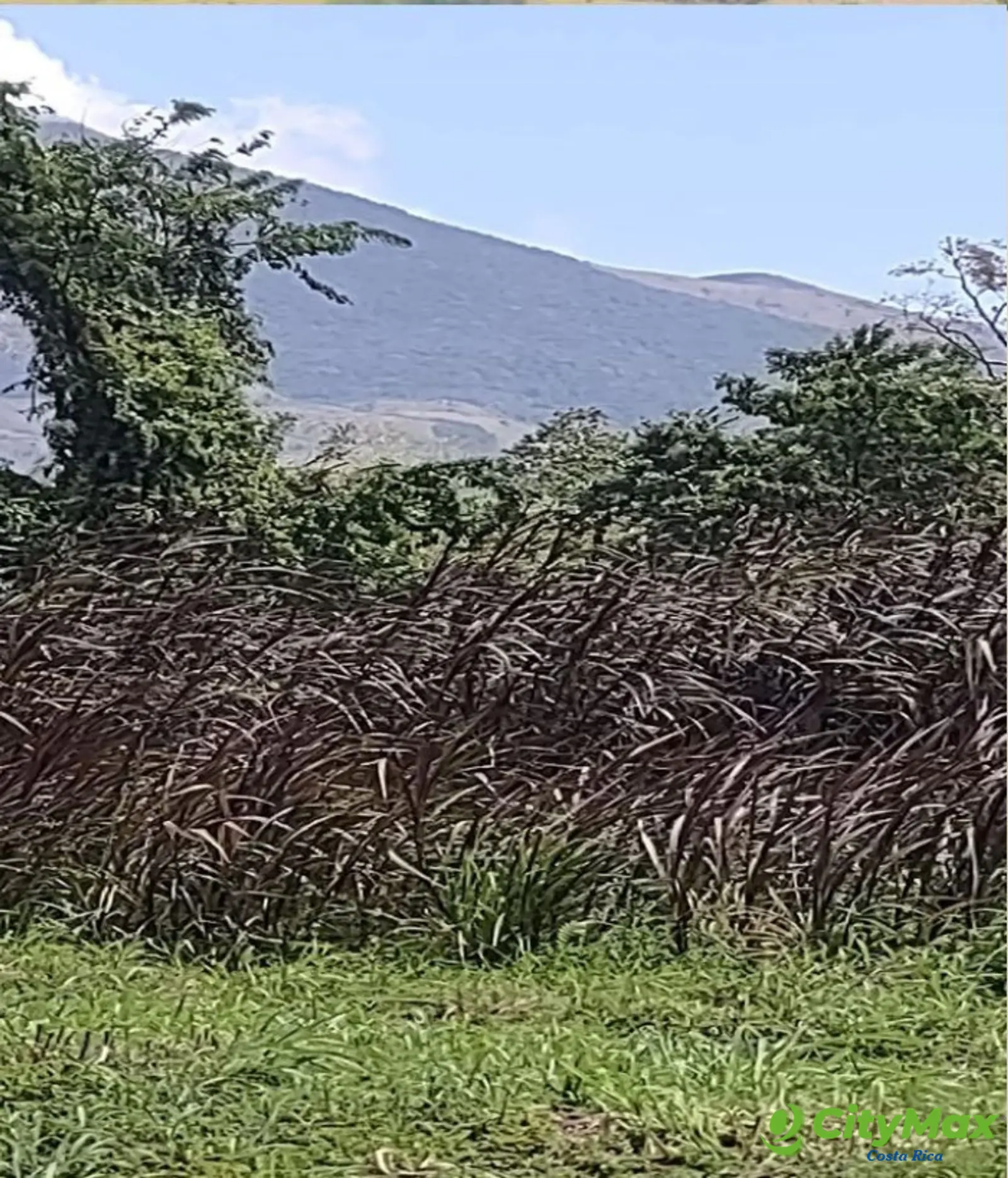Lotes en venta en Proyecto en Llanos del Miravalles - foto 14