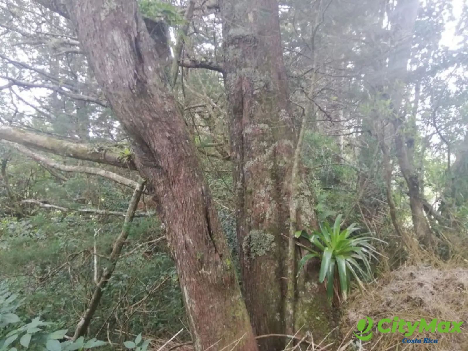 Terreno Exclusivo en Venta en San Rafael, Heredia. - foto 7