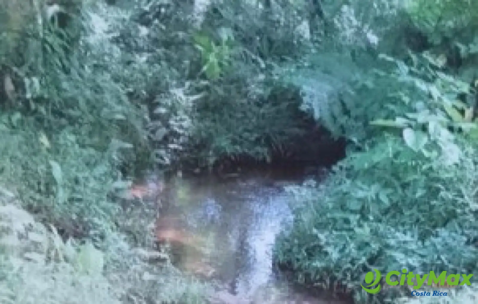 Se vende finca en Sarapiqui - foto 4